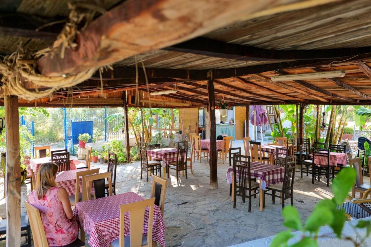 Tropikal Freskia Bunec ซารานเดอ ภายนอก รูปภาพ