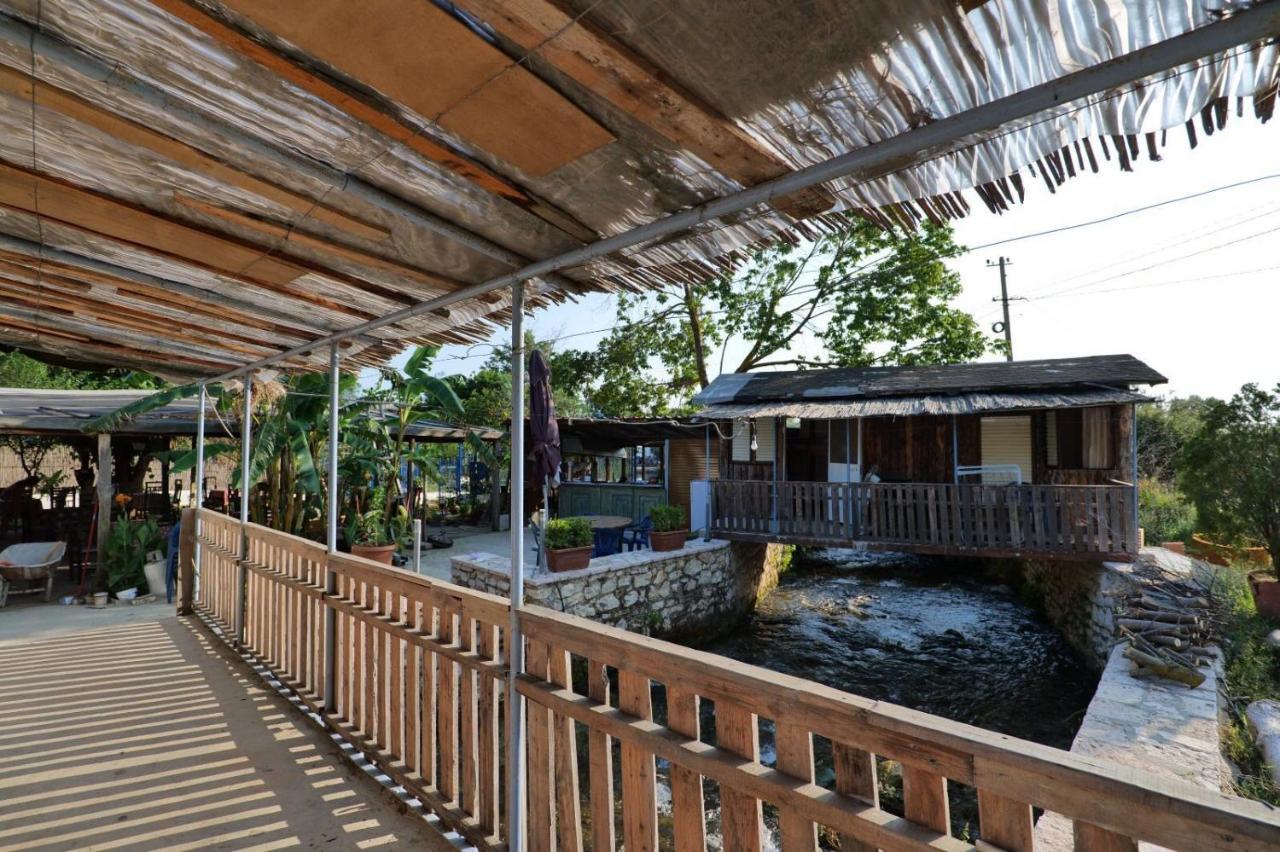 Tropikal Freskia Bunec ซารานเดอ ภายนอก รูปภาพ