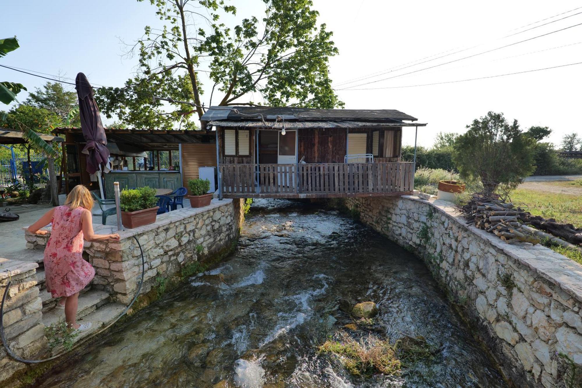 Tropikal Freskia Bunec ซารานเดอ ภายนอก รูปภาพ