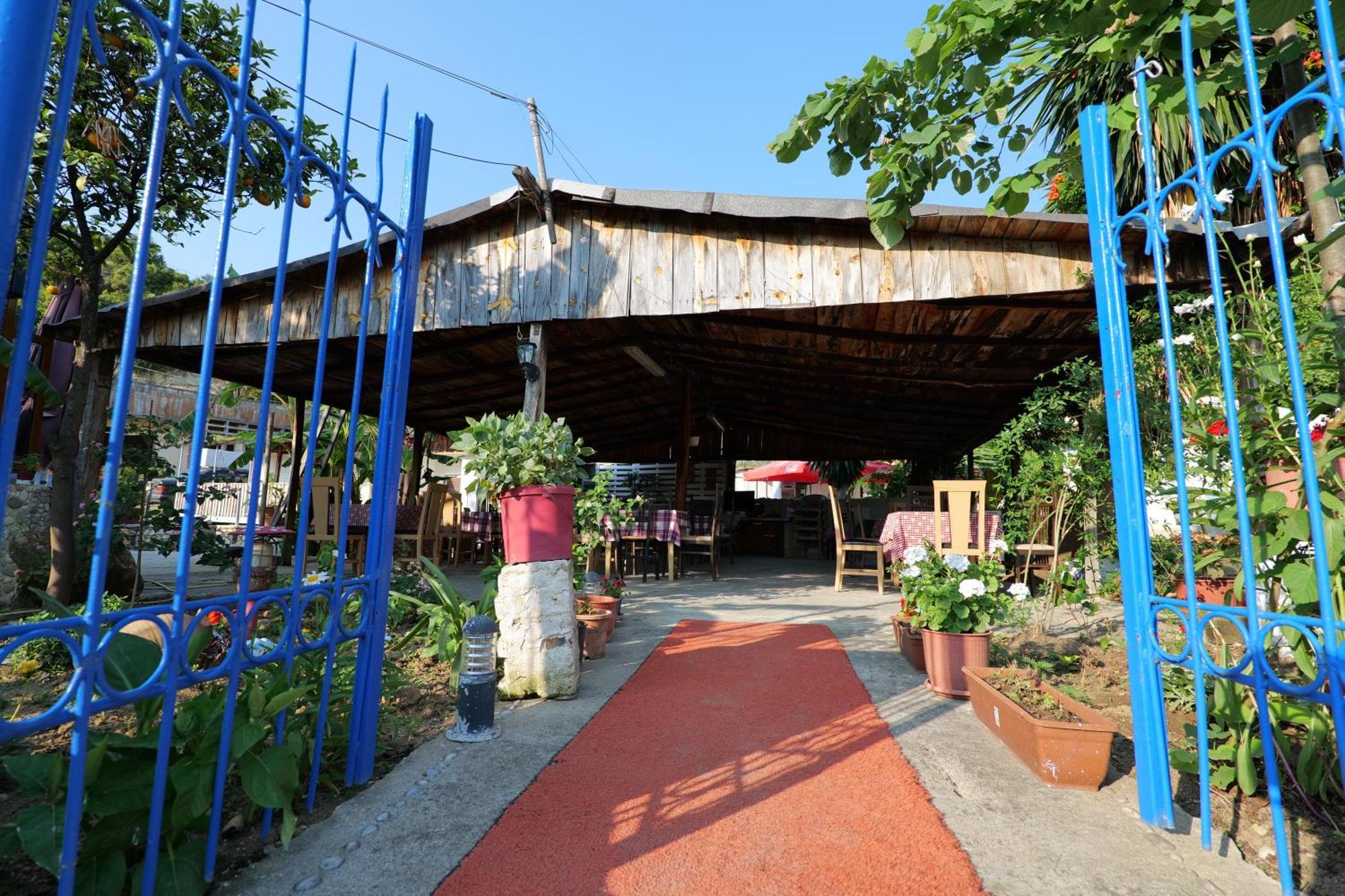 Tropikal Freskia Bunec ซารานเดอ ภายนอก รูปภาพ