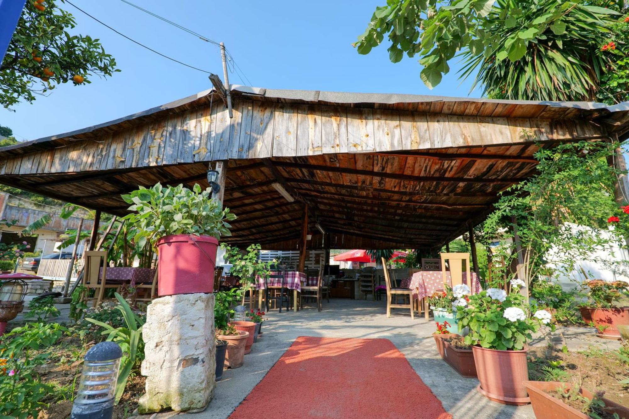 Tropikal Freskia Bunec ซารานเดอ ภายนอก รูปภาพ