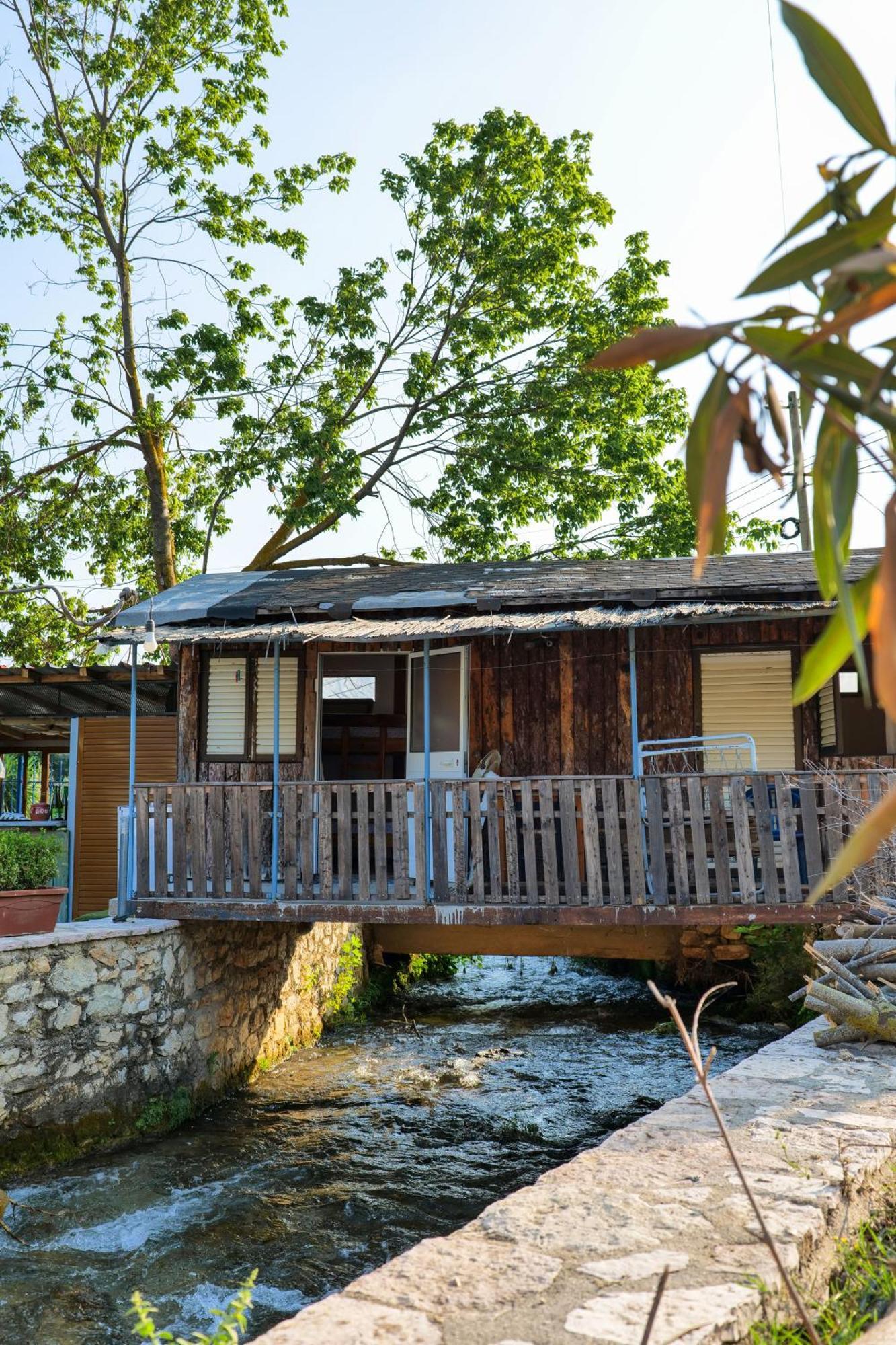 Tropikal Freskia Bunec ซารานเดอ ภายนอก รูปภาพ