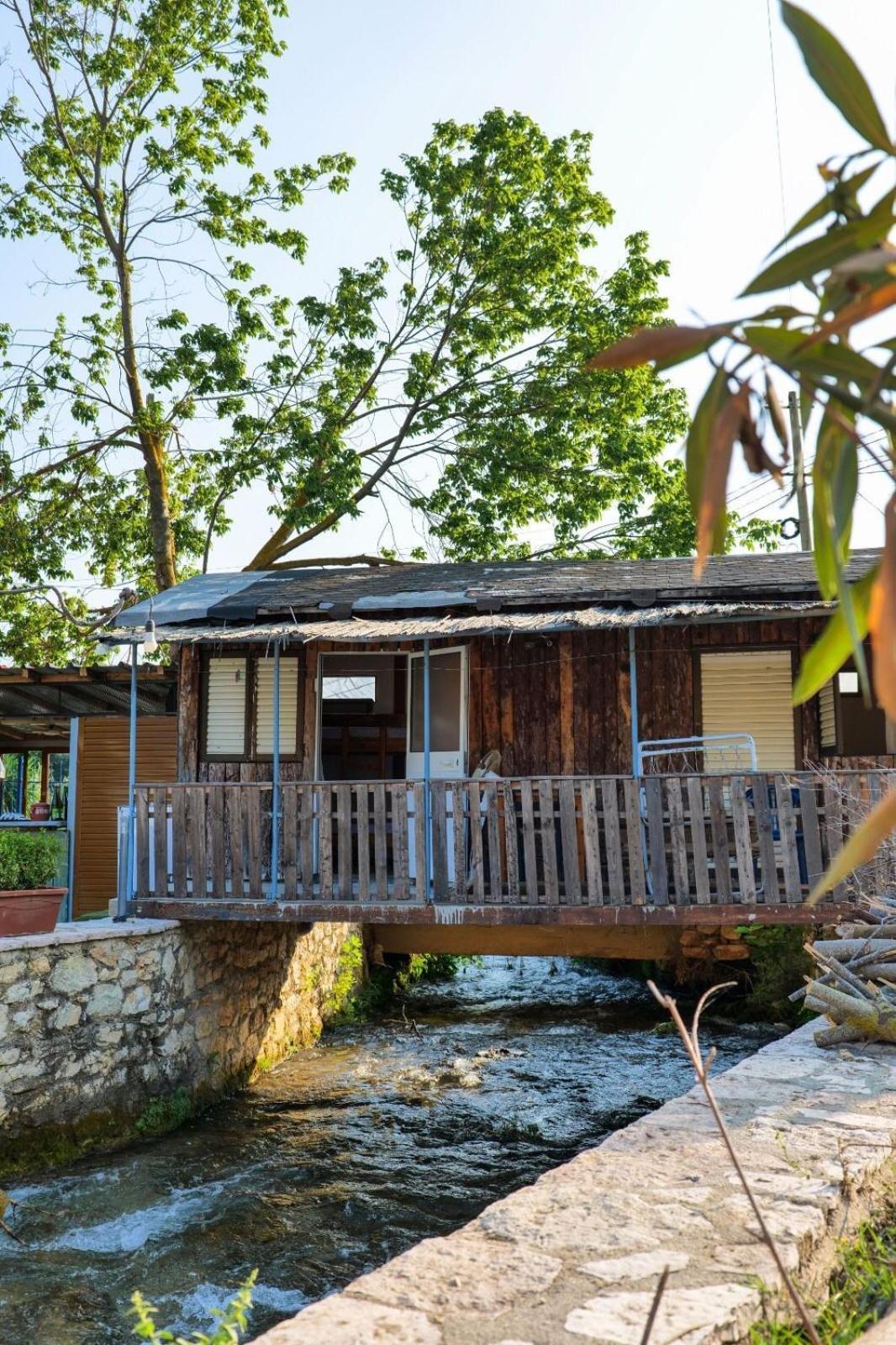 Tropikal Freskia Bunec ซารานเดอ ภายนอก รูปภาพ