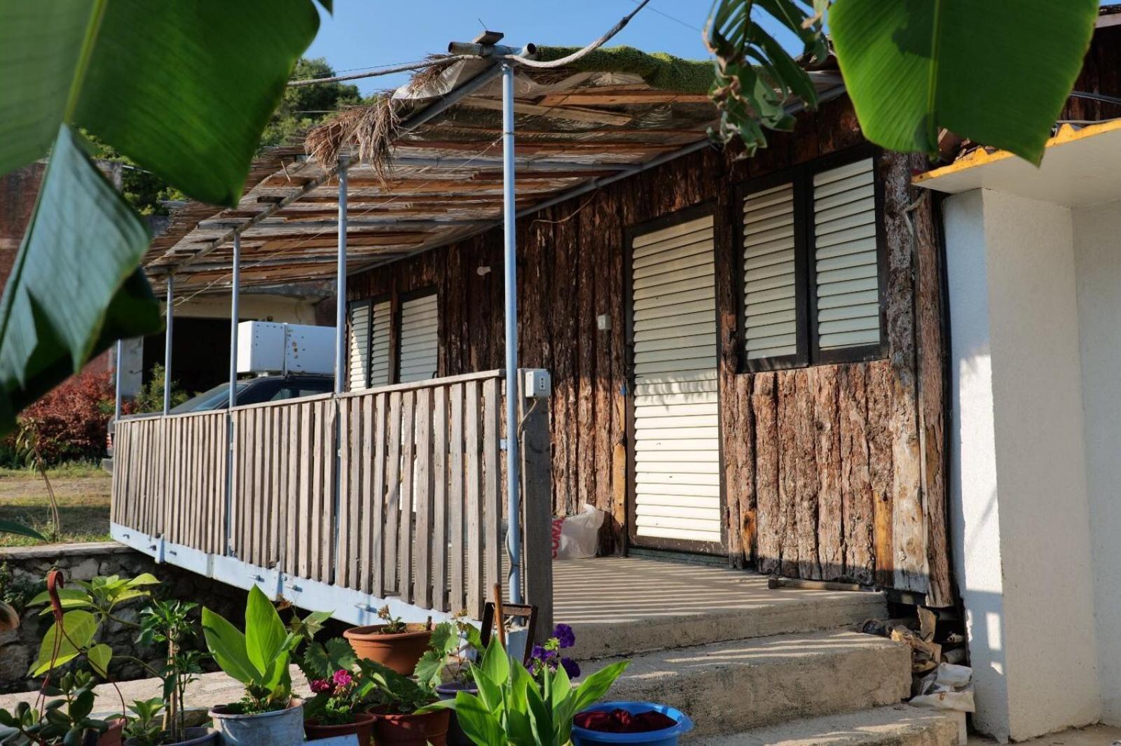 Tropikal Freskia Bunec ซารานเดอ ภายนอก รูปภาพ